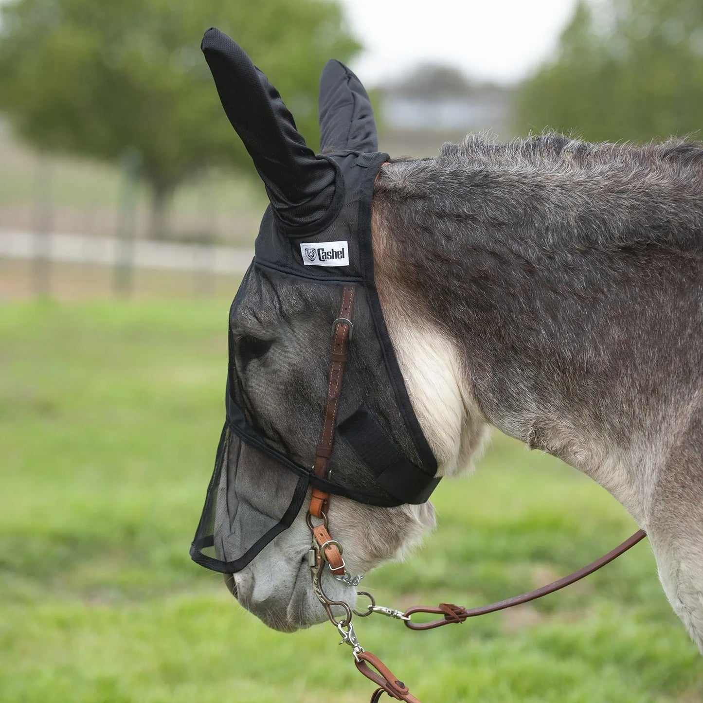 Cashel Quiet Ride Fly Mask in black featuring long ear covers, shown on a mule over a bridle. This lightweight, fine mesh riding mask provides excellent insect protection and UV defense without obstructing vision. An essential equestrian accessory for trail riding, it keeps flies and gnats away from sensitive eyes and ears, ensuring a focused and comfortable ride for your horse or mule.