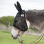 Cashel Quiet Ride Fly Mask with long ears in black mesh, shown on a donkey over a bridle. This lightweight riding fly mask offers superior insect and UV protection for mules and donkeys without obstructing vision. Perfect for trail riding, the soft mesh ear covers prevent fly irritation for a more focused and comfortable ride. A top-rated equestrian accessory for summer pest control.