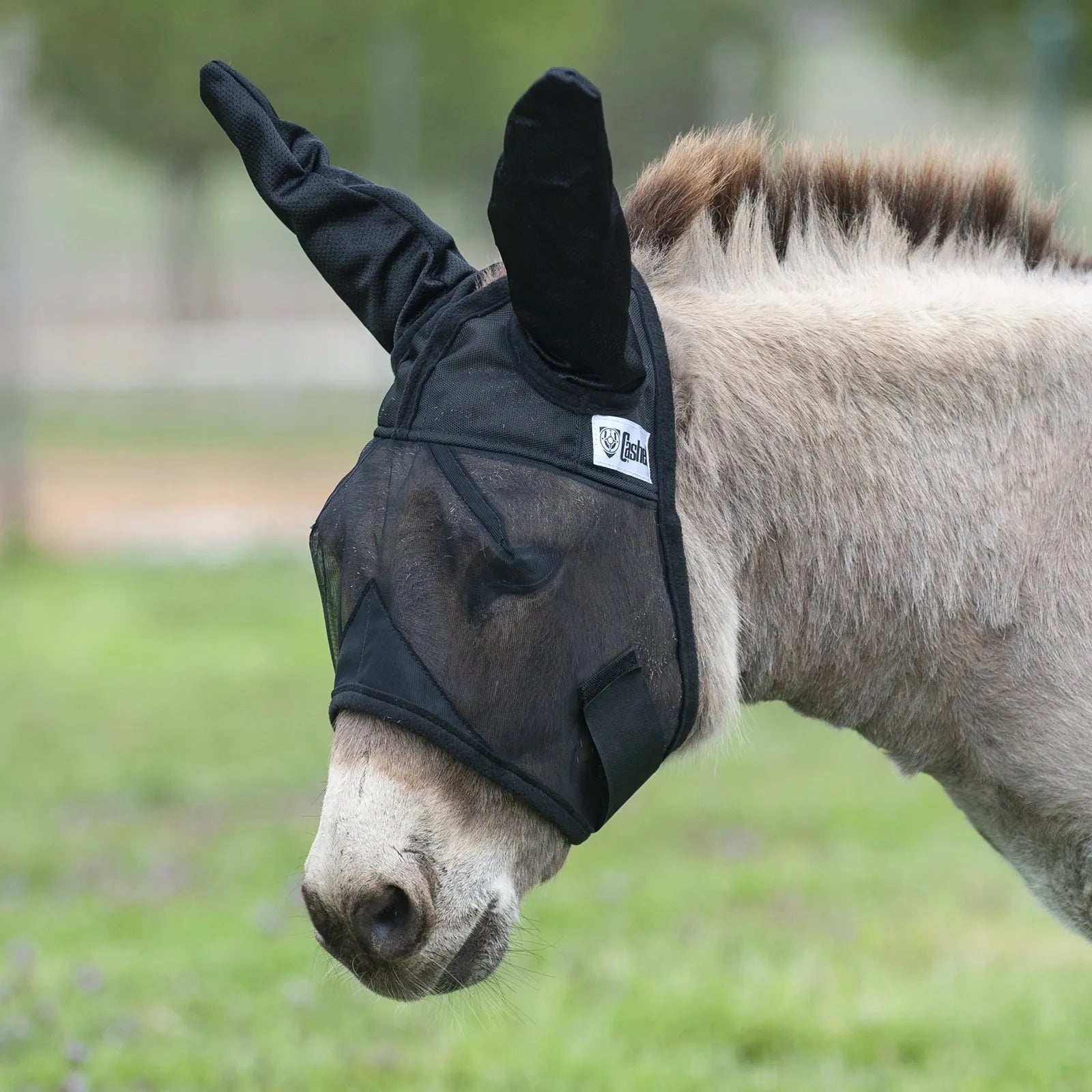 Cashel Quiet Ride Fly Mask in black, shown on a donkey with long ear covers for maximum insect protection. This lightweight mesh mask offers UV protection and clear visibility for trail riding. Perfect for protecting your donkey or mule from flies and gnats while out on the trail, featuring a comfortable and secure fit with the signature Cashel logo.