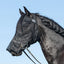 Cashel Quiet Ride Fly Mask with nose protection in black mesh, shown on a dark horse with a braided mane and bridle. This lightweight, see-through fly mask provides full face coverage to protect against biting flies, gnats, and UV rays while riding. Designed for clear visibility, it fits comfortably over tack for distraction-free trail rides or arena work. Essential equestrian gear for summer horse care and bug-free riding.