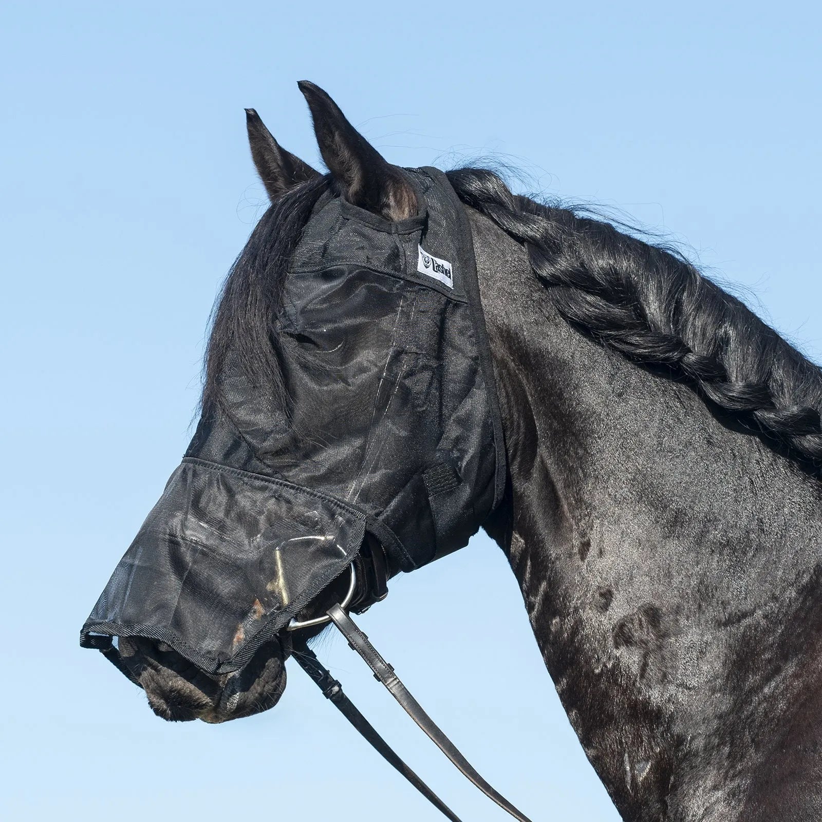 Cashel Quiet Ride Fly Mask with nose protection in black mesh, shown on a dark horse with a braided mane and bridle. This lightweight, see-through fly mask provides full face coverage to protect against biting flies, gnats, and UV rays while riding. Designed for clear visibility, it fits comfortably over tack for distraction-free trail rides or arena work. Essential equestrian gear for summer horse care and bug-free riding.