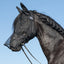 Cashel Quiet Ride Fly Mask with ears and long nose piece shown on a black horse with a braided mane. This black mesh riding fly mask provides full-face protection from flies and UV rays while maintaining clear visibility for the horse. An essential lightweight equestrian accessory for comfortable, bug-free horseback riding on trails or in the ring.