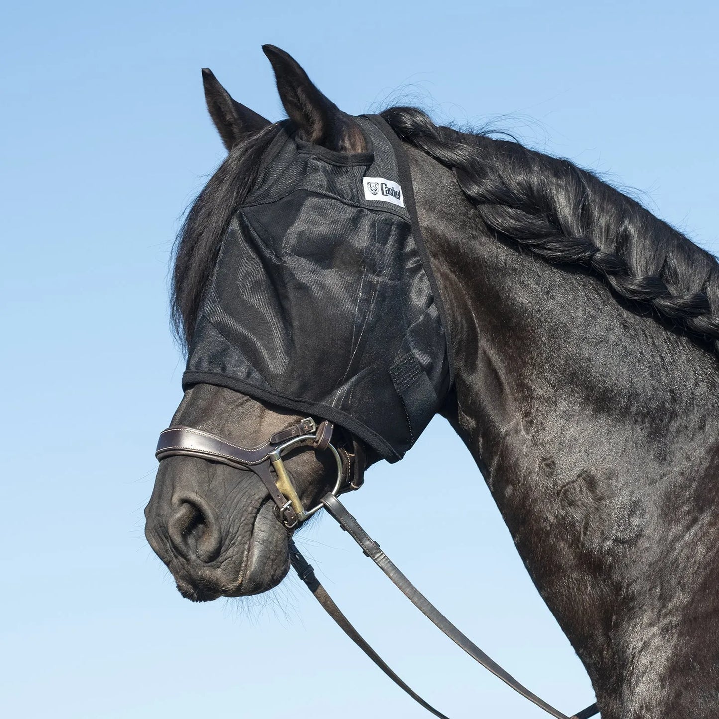 Cashel Quiet Ride Fly Mask in black worn by a black horse with a braided mane. This sheer, fine-mesh fly mask provides essential insect protection and UV defense without obstructing vision during rides. Designed to fit comfortably over a bridle, it is a must-have equestrian accessory for trail riding or training. Protect your horse’s eyes from flies and gnats while maintaining focus and comfort in the sun.