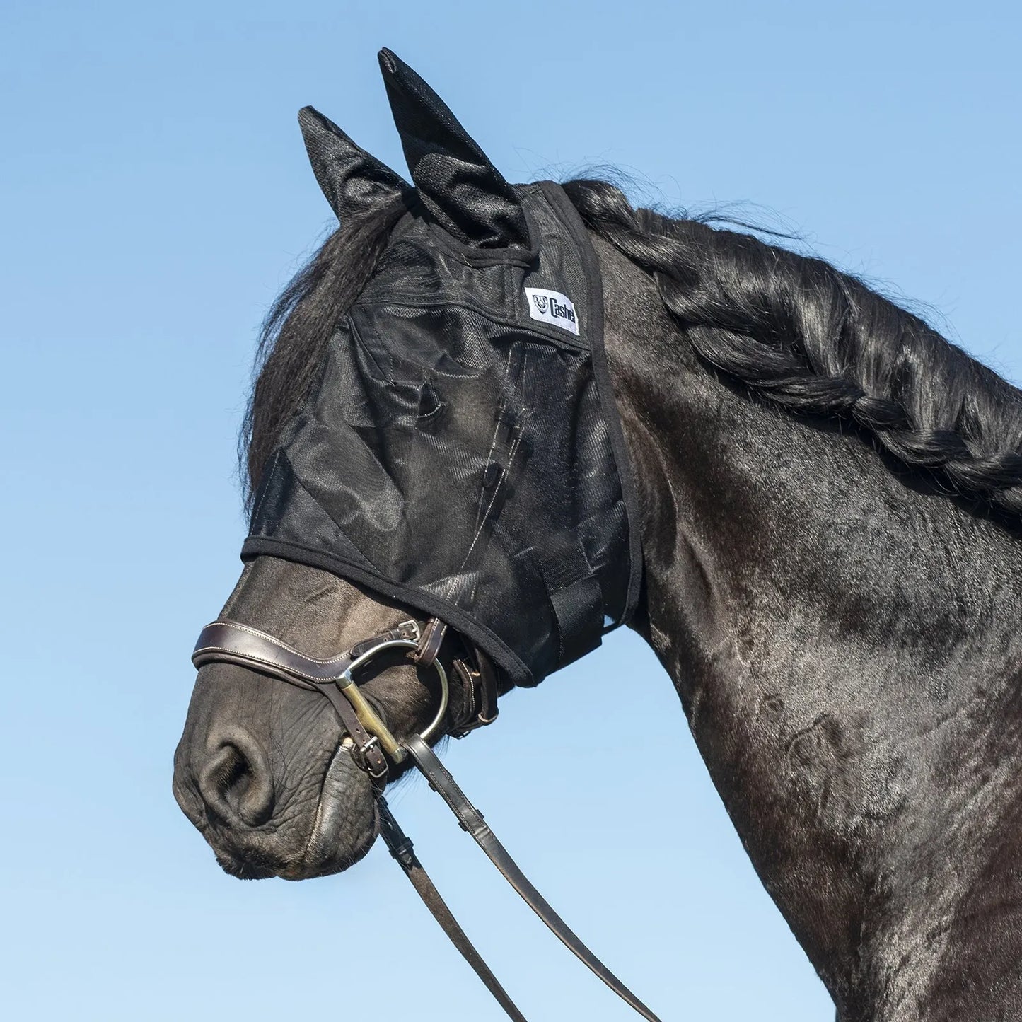 Cashel Quiet Ride Fly Mask in black, featuring mesh ear covers and a translucent design for clear visibility. This lightweight horse fly mask is shown on a black horse with a braided mane, worn over a leather bridle for protection from biting flies and insects while riding. Ideal for trail riding or equestrian exercise, this durable mesh mask ensures a comfortable, pest-free ride under a clear blue sky.