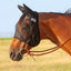 Cashel Quiet Ride Fly Mask on a bay horse. This black mesh riding fly mask features protective ears and a lightweight, sheer design for clear visibility and airflow. Shown worn with a bit and reins, it provides essential insect and UV protection during trail rides or training. Durable equestrian gear designed to keep horses comfortable and focused from flies and pests.