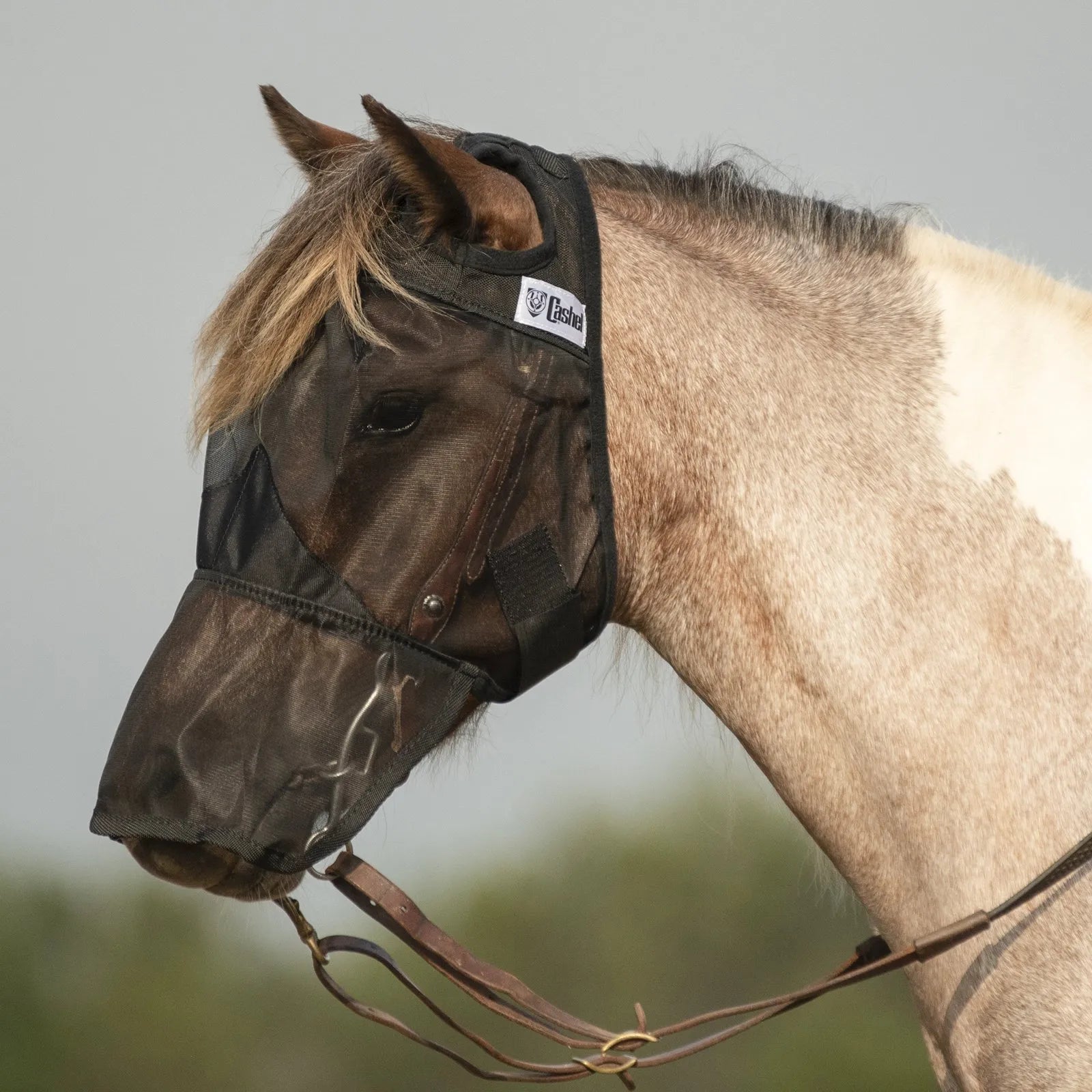 Cashel Quiet Ride Fly Mask featuring a fine black mesh design that protects your horse from flies and UV rays while riding. Shown on a spotted horse wearing a bridle, this nose-covering mask ensures a peaceful, focused ride by keeping pests away from sensitive eyes and muzzle. Lightweight, semi-transparent material allows for full visibility, making it essential equestrian gear for bug-free trail rides and schooling.