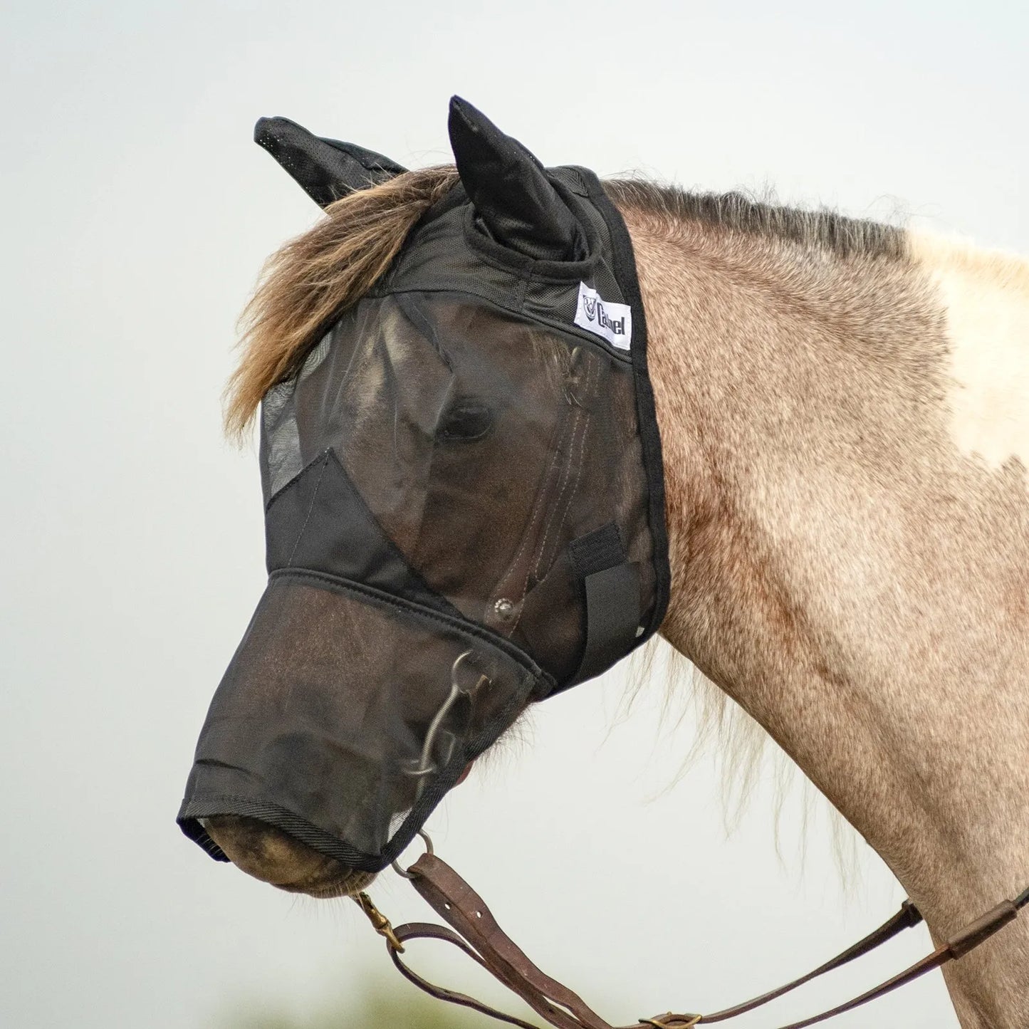 Cashel Quiet Ride Fly Mask in black with long nose and ears, shown fitted over a bridle on a horse. This lightweight, translucent mesh riding fly mask provides superior insect protection for trail rides and arena work without obstructing vision. Featuring a secure fit and comfortable design, it’s the perfect equestrian accessory for bug-free summer riding.