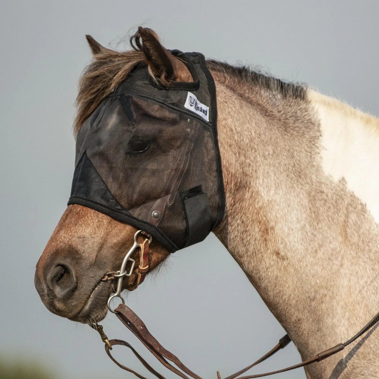 Cashel Quiet Ride Fly Mask in black mesh worn over a bridle on a pinto horse. This lightweight, transparent equestrian fly mask protects eyes from insects and UV rays while providing clear visibility for safe riding. Features a sheer mesh design with ear openings, ideal for trail riding or schooling. High-quality horse fly protection that keeps your equine partner focused and comfortable in buggy conditions.