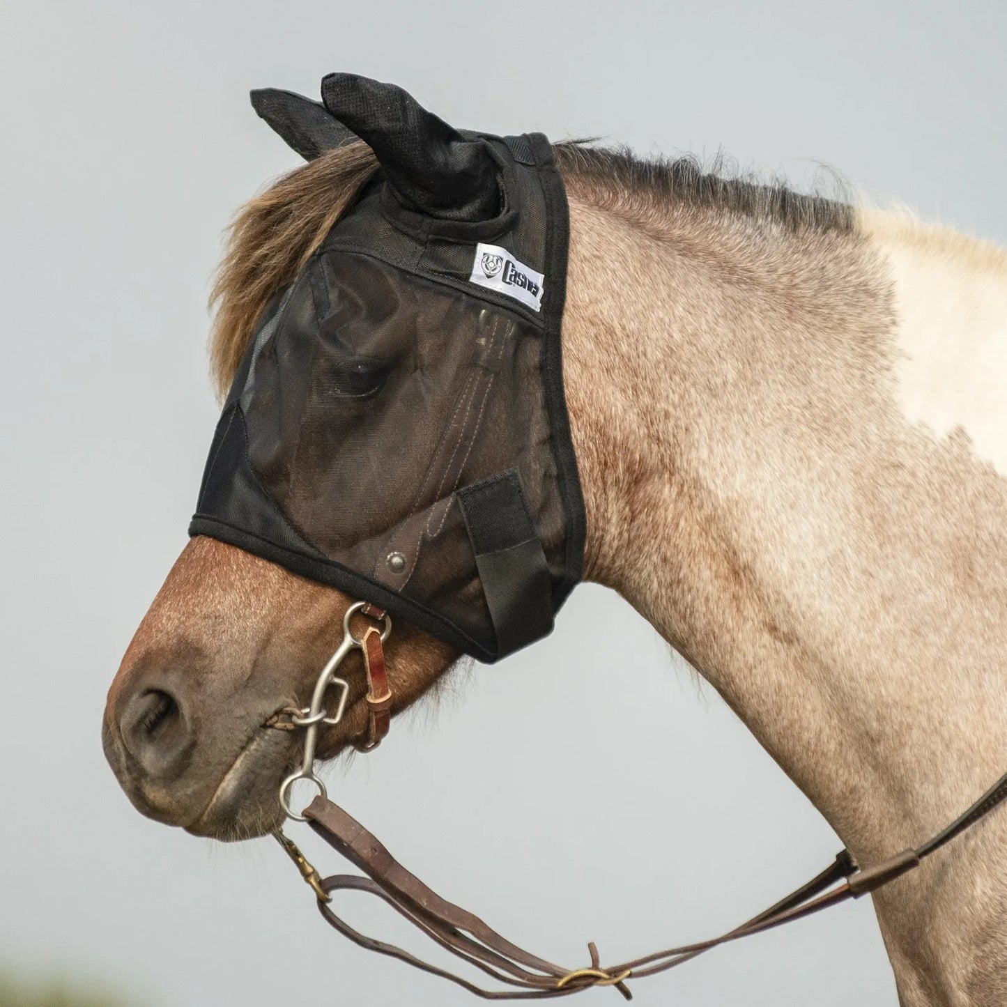 Cashel Quiet Ride Fly Mask with ears in black, shown on a paint horse wearing a bridle. This premium horse fly mask features fine, transparent mesh for clear vision and insect protection during rides. Designed to fit comfortably over riding gear, it keeps flies away from the eyes and ears, ensuring a focused and calm horse. Perfect equestrian accessory for trail riding and outdoor schooling.
