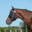 Cashel Quiet Ride Leopard Fly Mask on a brown horse, worn over a leather bridle for bug-free riding. This stylish mesh horse fly mask features a chic leopard print trim and provides UV protection and insect relief during trail rides. The breathable black mesh ensures clear visibility while keeping flies away from the eyes. Protect your pony in style with this durable, lightweight equestrian essential perfect for outdoor riding and bug protection.