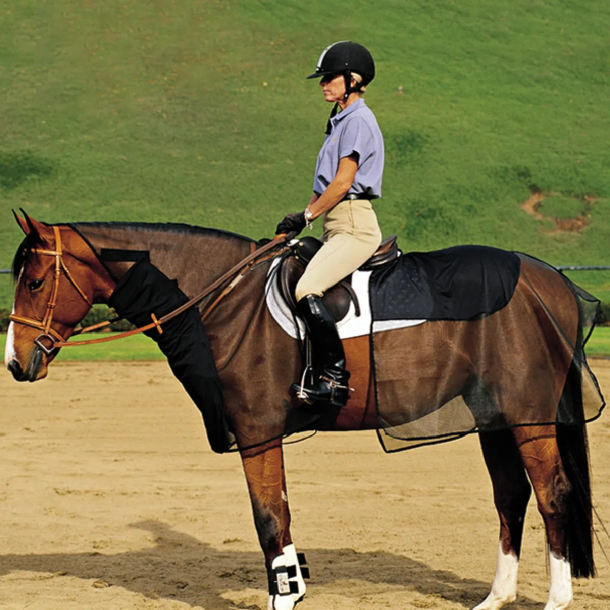 Cashel Quiet Ride fly sheet in black mesh, designed for insect protection while riding. This lightweight, breathable horse fly sheet features a neck cover and body wrap that allows for a saddle and rider. Made from translucent mesh, it provides maximum defense against flies and gnats without restricting movement. Perfect for trail riding or schooling, this exercise sheet keeps horses comfortable and focused.