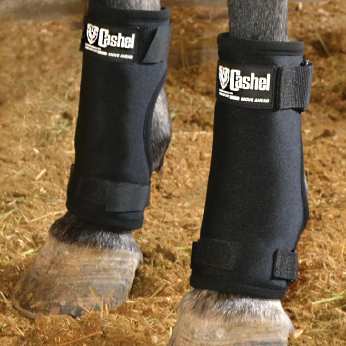Cashel Stall Sore Boots for Horses in black, size Large 10.5", fitted on a horse's forelegs to provide protection and support healing. Featuring secure velcro straps and soft neoprene, these boots prevent and treat sores while stabled. A must-have for equine leg care, these protective horse boots ensure comfort on shavings or stall floors.