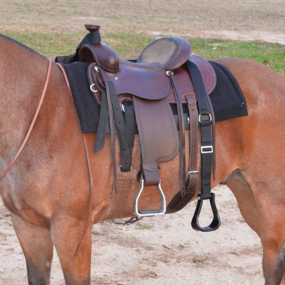 Cashel Step Up Stirrup Extender in black nylon, designed to hang below a standard Western stirrup for easier mounting. This durable horse tack accessory provides a lower step for riders, making it ideal for mounting tall horses or for riders with limited mobility. Shown attached to a brown leather Western saddle on a roan horse with a black felt saddle pad, offering a practical solution for a safer, more accessible mounting experience.