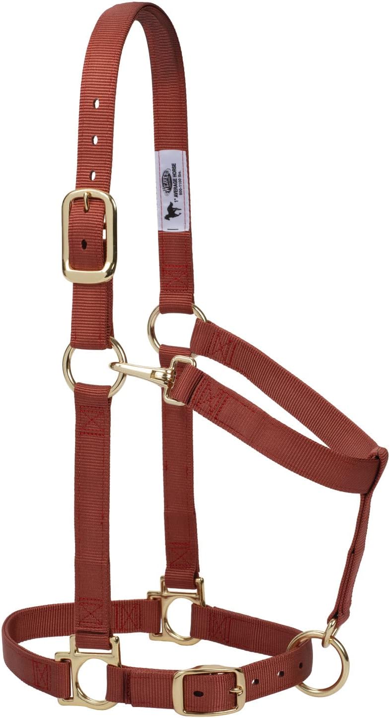 Weaver Leather Basic Adjustable Average Padded Nylon Halter - Adjustable Crown & Chin