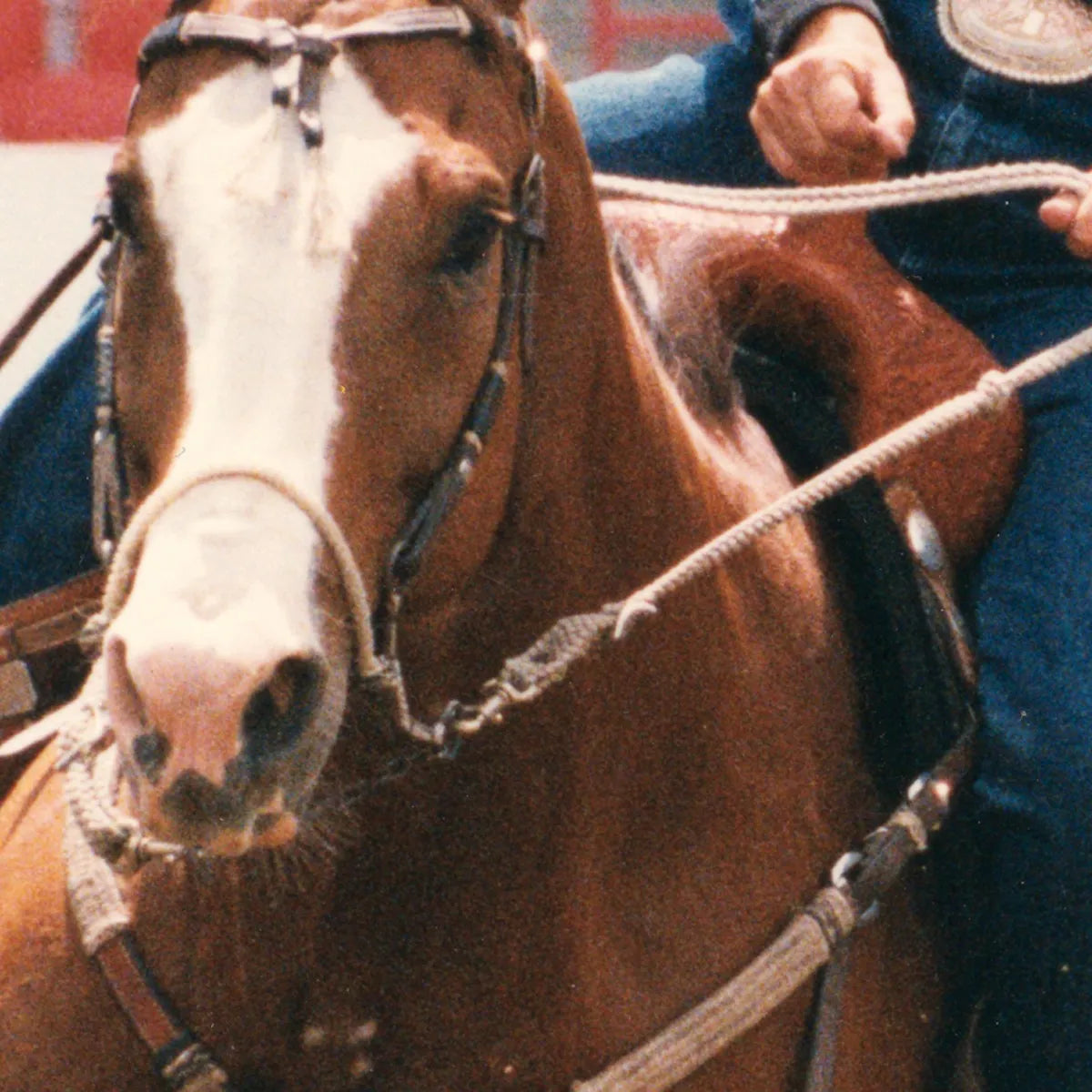 Classic Equine Bozo Sidepull Replica Barrel Correction BOZOSP 7 1/2 inch bit on a chestnut horse with a white blaze. This professional Western training headstall features a rope noseband and premium leather construction, designed for precise control in barrel racing. Ideal for horse correction and steering, this iconic sidepull offers the perfect blend of performance and classic style for competitive riders and horse trainers.