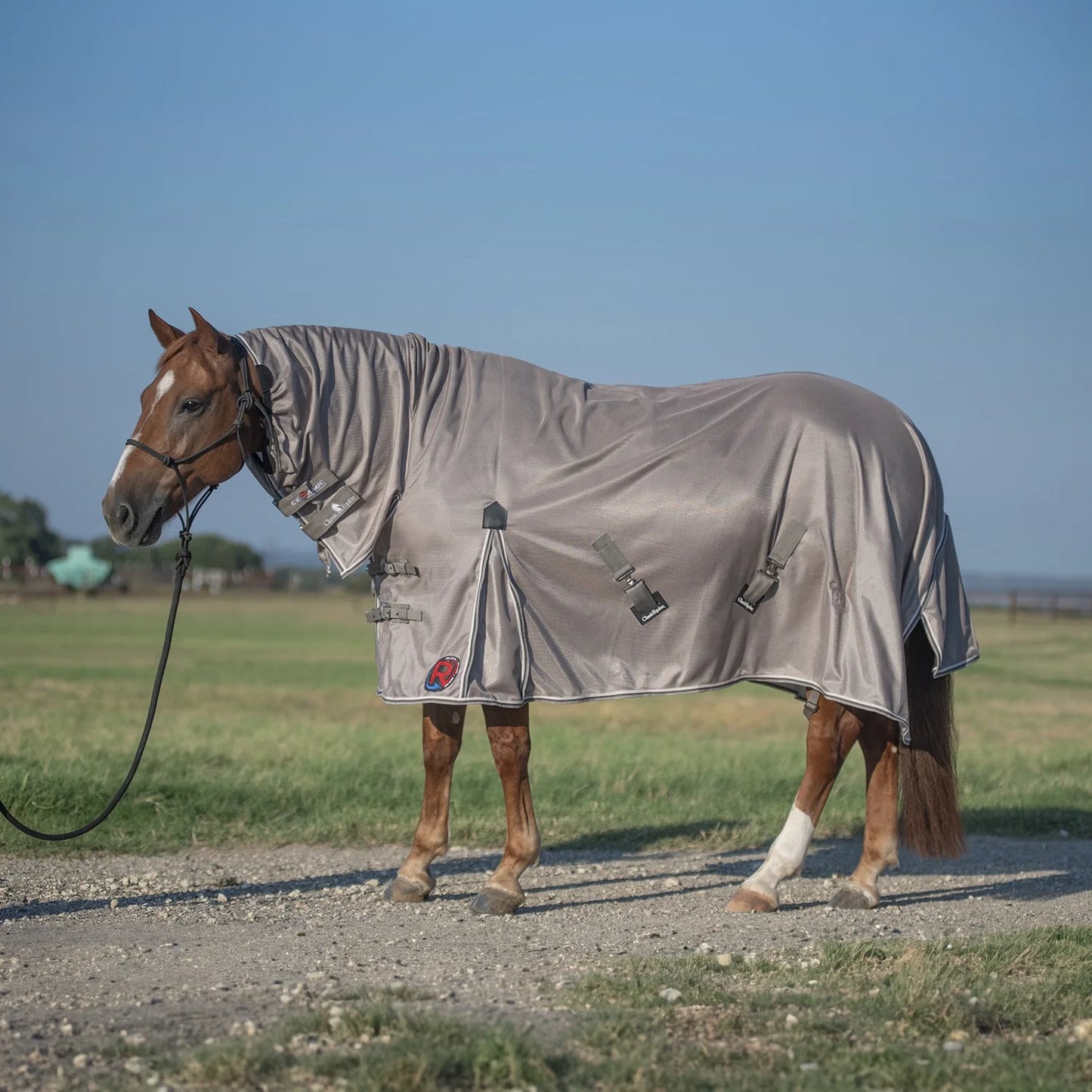 Classic Equine Hooded Ceramic Sheet - Therapeutic Recovery & Circulation Support for Performance Horses - Full Coverage