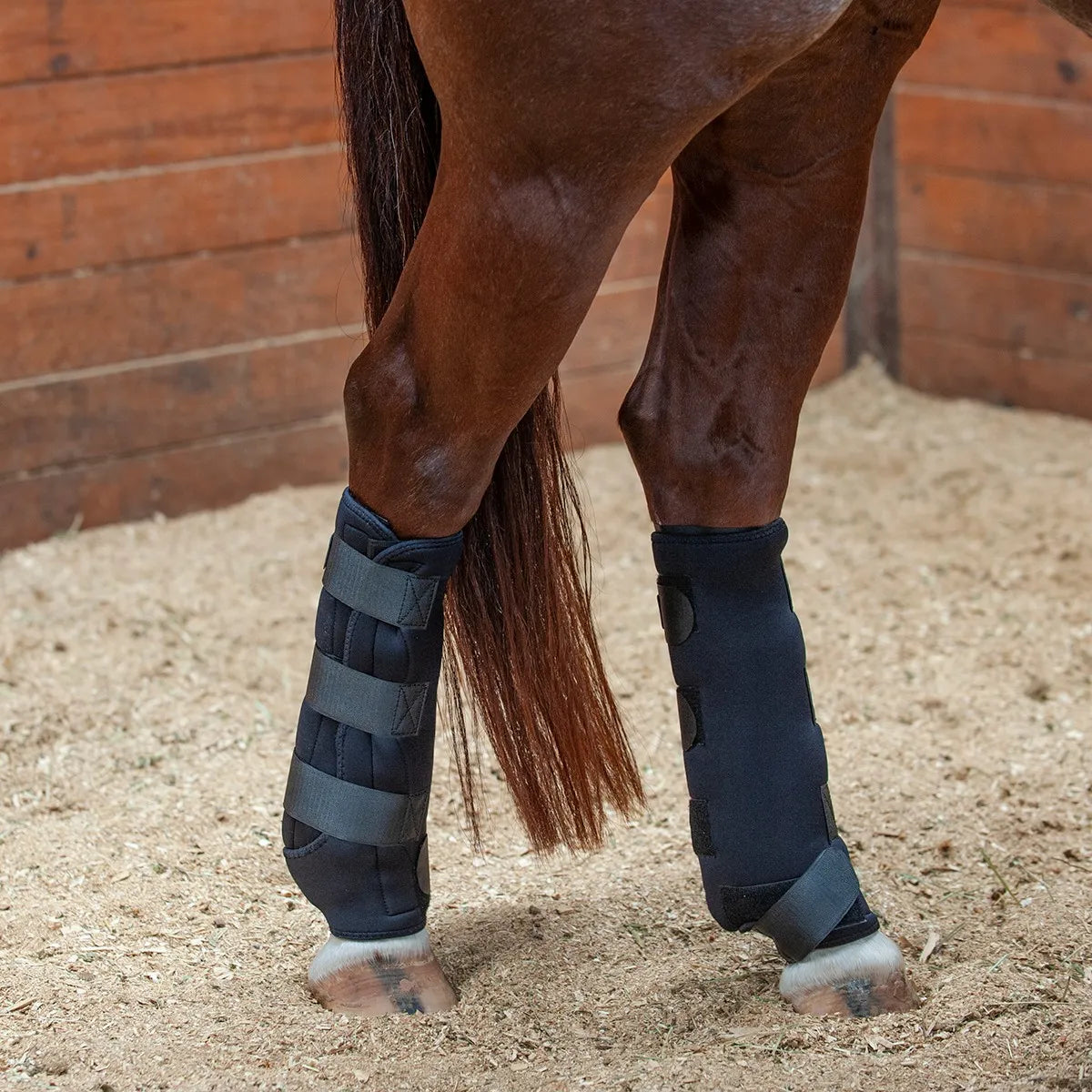 Classic Equine Black Ice Therapy Leg Boots for horses. These compression cooling boots feature multiple secure straps to provide soothing relief and recovery for equine tendons and ligaments. Shown on a horse's hind legs in a stable, these ice boots are essential for reducing swelling and post-workout inflammation in performance horses.