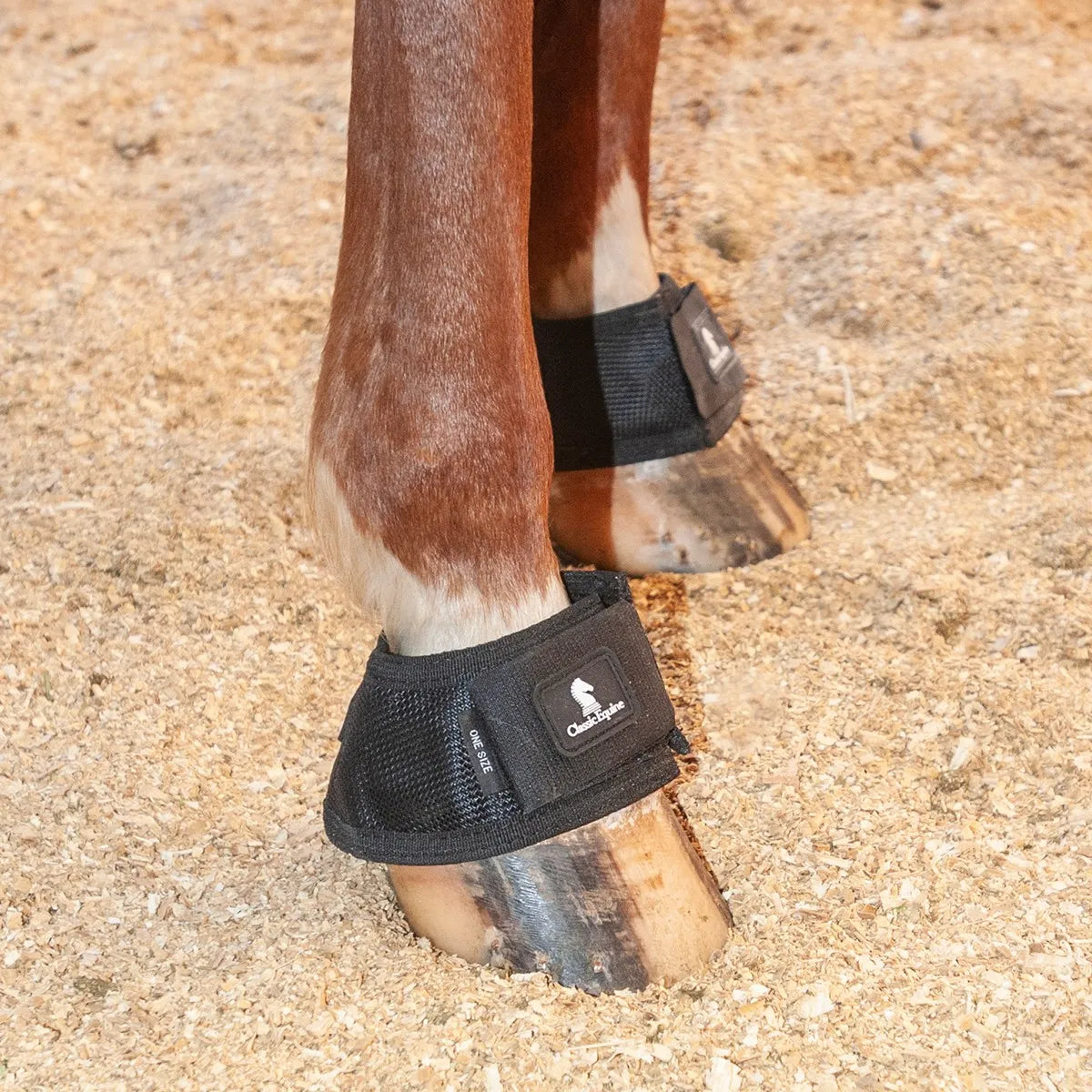 Classic Equine MagNTX Bell Boots in black, designed for magnetic therapy and hoof pain relief. Shown on a horse's front hooves in a sand arena, these protective boots feature a breathable mesh exterior, secure hook-and-loop closures, and the Classic Equine logo. Perfect for equine wellness, injury recovery, and preventing overreach during training or turnout.