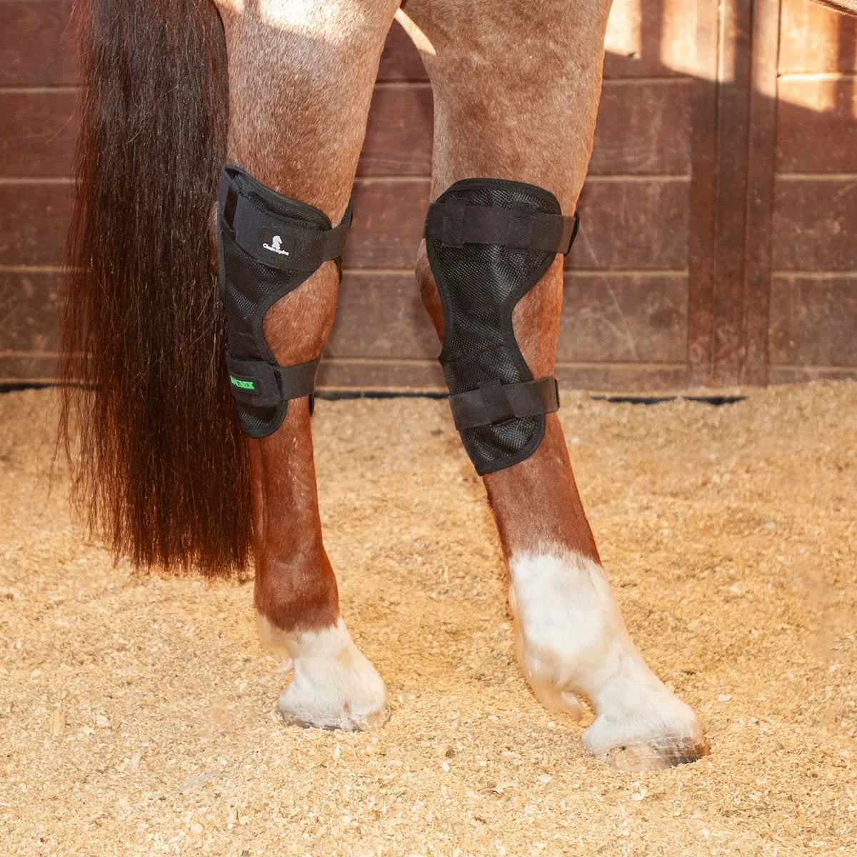 Classic Equine MagNTX Hock Wraps in black mesh shown on a chestnut horse's hind legs. These magnetic therapy hock wraps help relieve pain and support joint performance for athletic horses. Featuring a breathable, contoured design with adjustable straps for a secure fit, they are ideal for injury recovery and reducing inflammation. Enhance your horse's mobility with these essential equine leg supports, perfect for use in the stall or during travel.