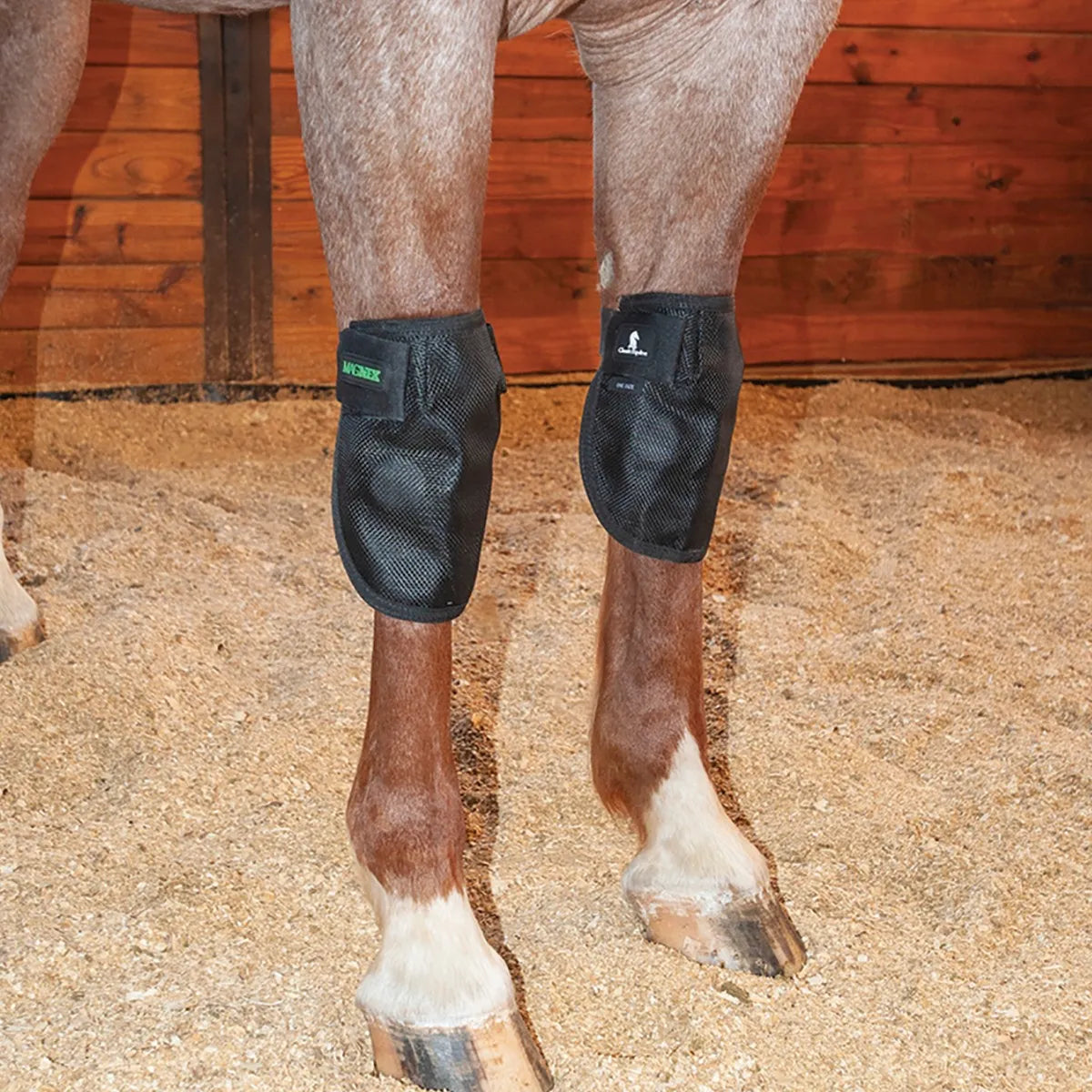 Classic Equine MagNTX black mesh knee wraps providing magnetic therapy for horse joint health. The contoured boots are shown securely fastened on a horse’s front legs in a stall with wood shavings. Ideal for equine recovery, reducing inflammation, and maintaining joint mobility in performance horses. High-quality equine therapy gear for injury prevention and senior horse care.