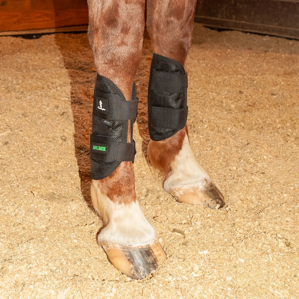 Classic Equine MagNTX Tendon Wraps in black mesh, shown on a chestnut horse's lower legs. These magnetic therapy boots feature two adjustable Velcro straps, a breathable mesh design, and the signature green MagNTX logo. Ideal for fast recovery and injury prevention, these equine wraps provide essential support and therapeutic benefits during stall time or transport. A must-have for horse owners seeking high-quality leg protection and advanced healing gear.