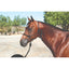 Professional's Choice Clinician Rope Halter in black on a bay horse. This high-quality rope training halter features precision knots for enhanced control and communication during groundwork. Ideal for natural horsemanship and professional horse training, the durable yet lightweight design offers a clear signal for improved responsiveness. Essential equestrian gear for better horse handling and discipline in any training environment.
