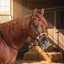 Hooves and Paws Ranch Combination Lariat Rope Bridle - 5" Twisted Snaffle Sweet Iron Bit & 9ft Yacht Rope Reins