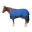 Weaver Leather Economy Turnout Blanket, Medium Weight 200g, 600D