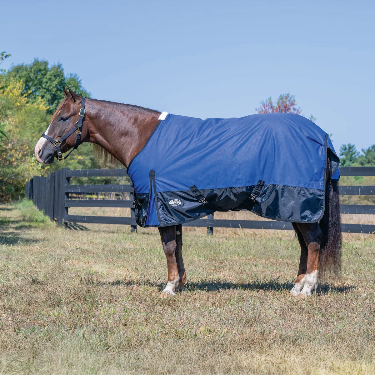 Weaver Leather Economy Turnout Blanket, Medium Weight 200g, 600D