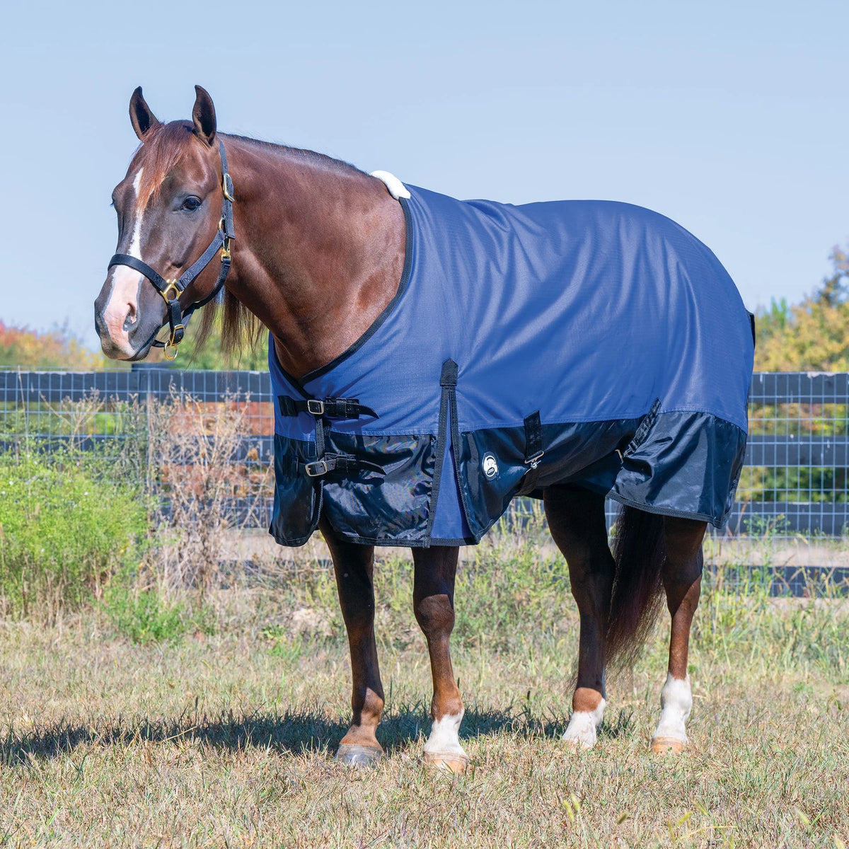 Weaver Leather Economy Turnout Blanket, Medium Weight 200g, 600D