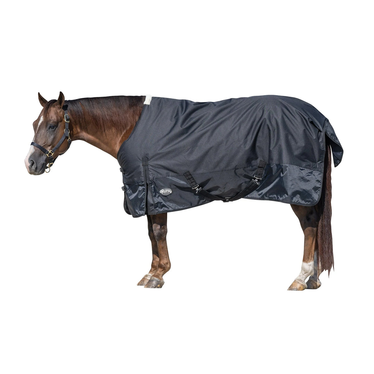 Weaver Leather Economy Turnout Blanket, Medium Weight 200g, 600D