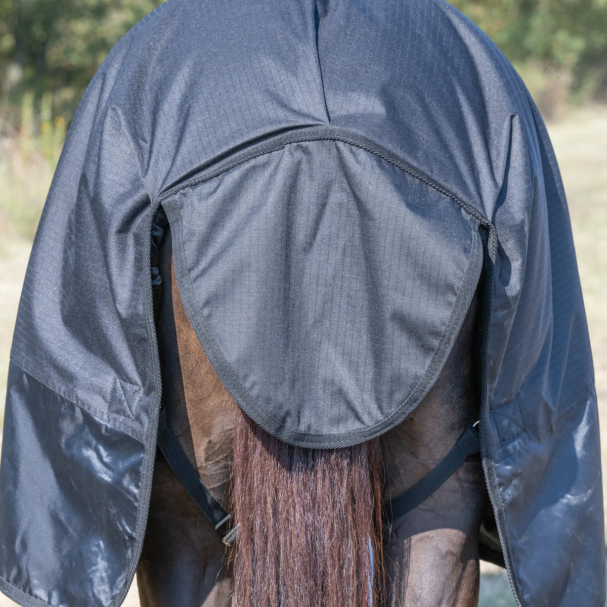 Weaver Leather Economy Winter Turnout Blanket, Heavy Weight, 300g, 1200D