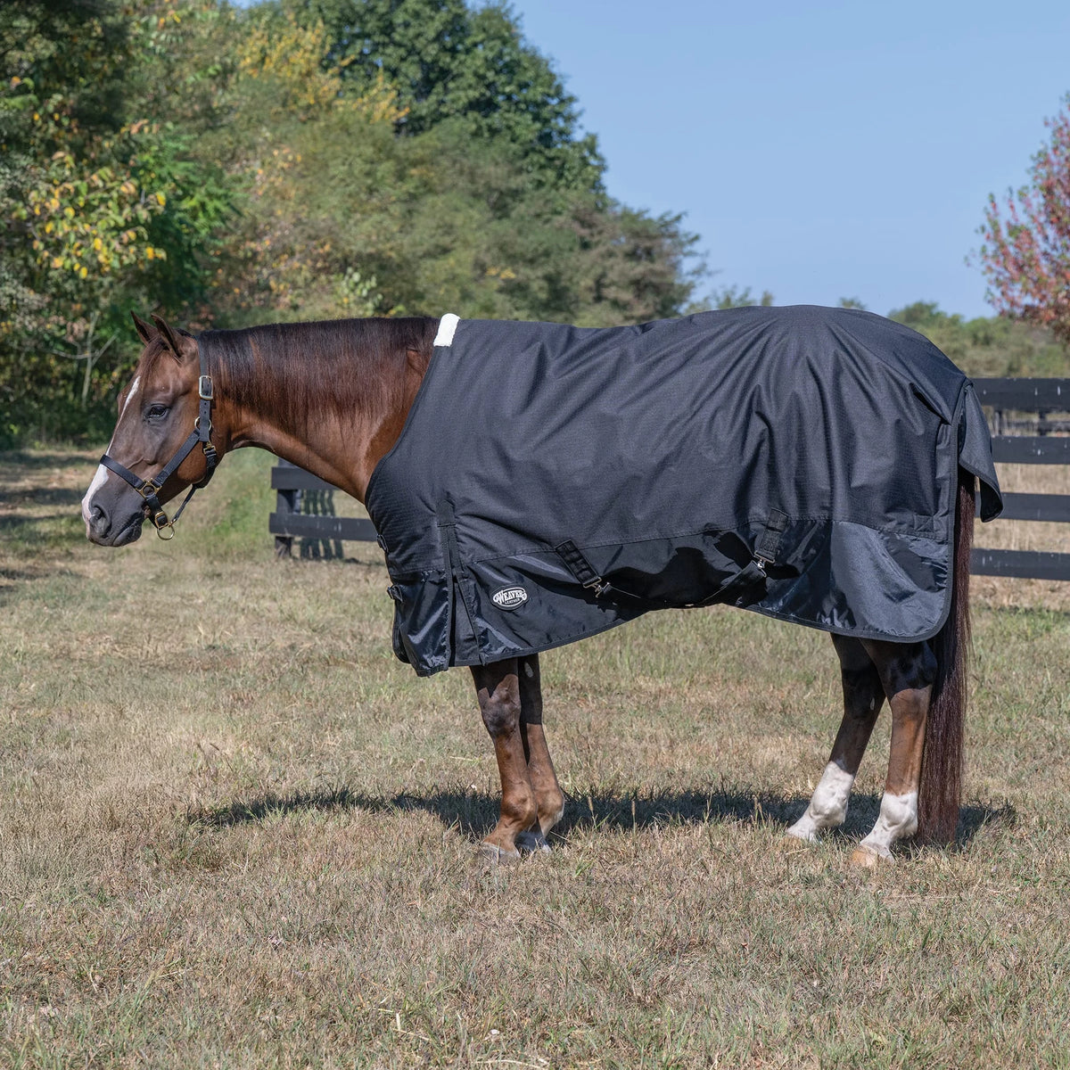 Weaver Leather Economy Winter Turnout Blanket, Heavy Weight, 300g, 1200D