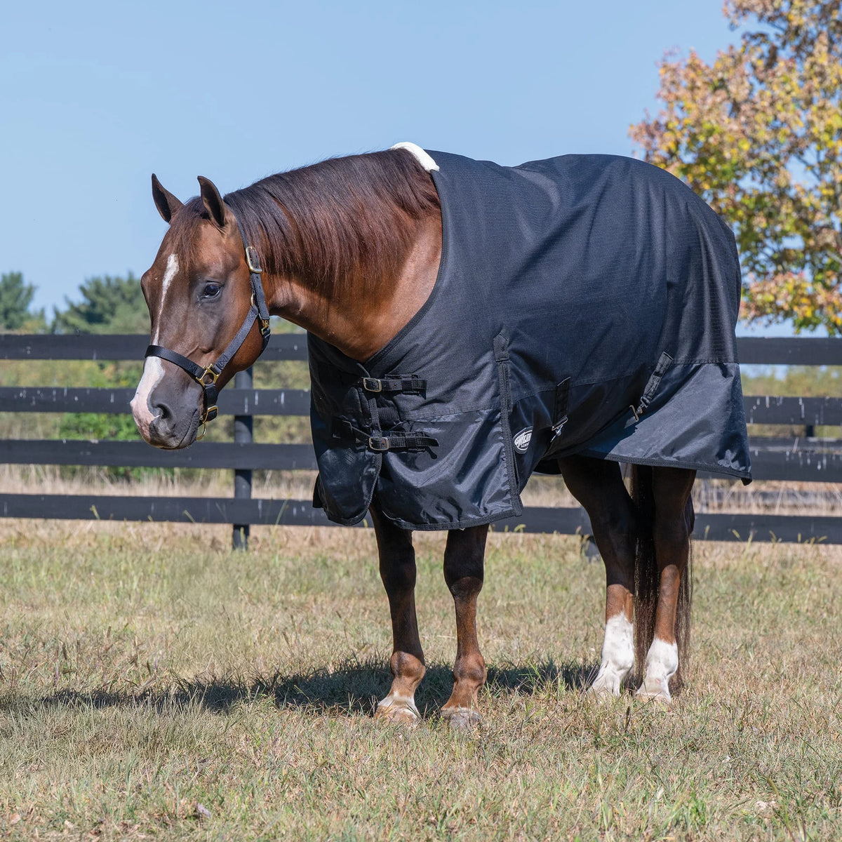 Weaver Leather Economy Winter Turnout Blanket, Heavy Weight, 300g, 1200D