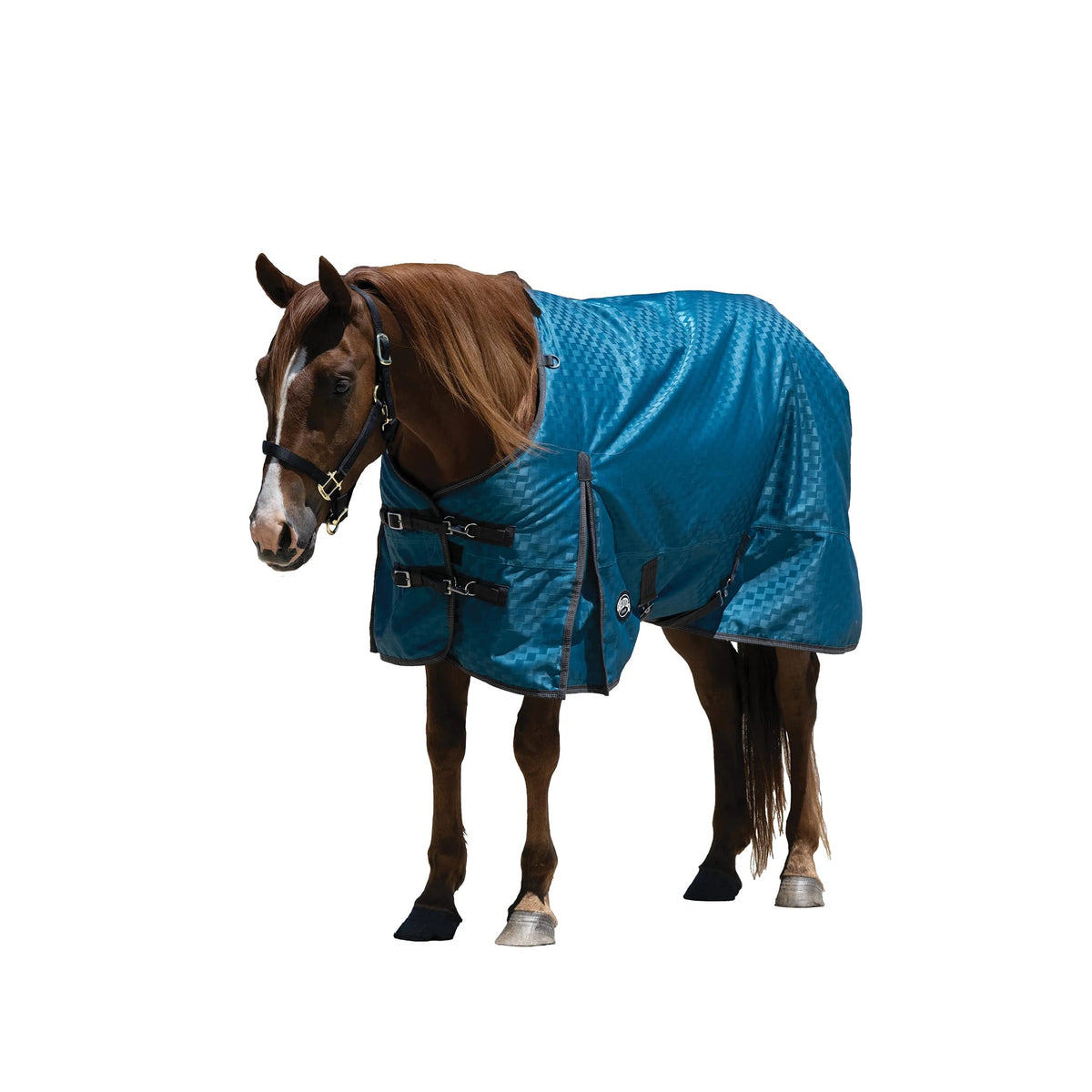 Weaver Leather Premium Turnout Blanket, Heavy Weight 300g, 1200D