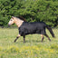 Weaver Leather Premium Turnout Blanket, Heavy Weight 300g, 1200D
