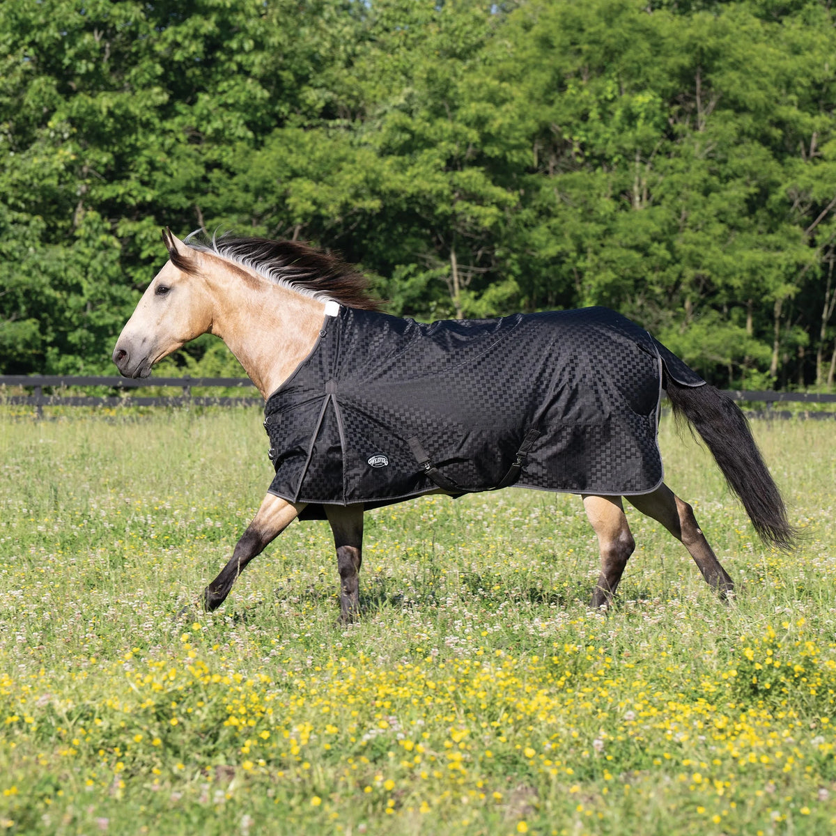 Weaver Leather Premium Turnout Blanket, Heavy Weight 300g, 1200D