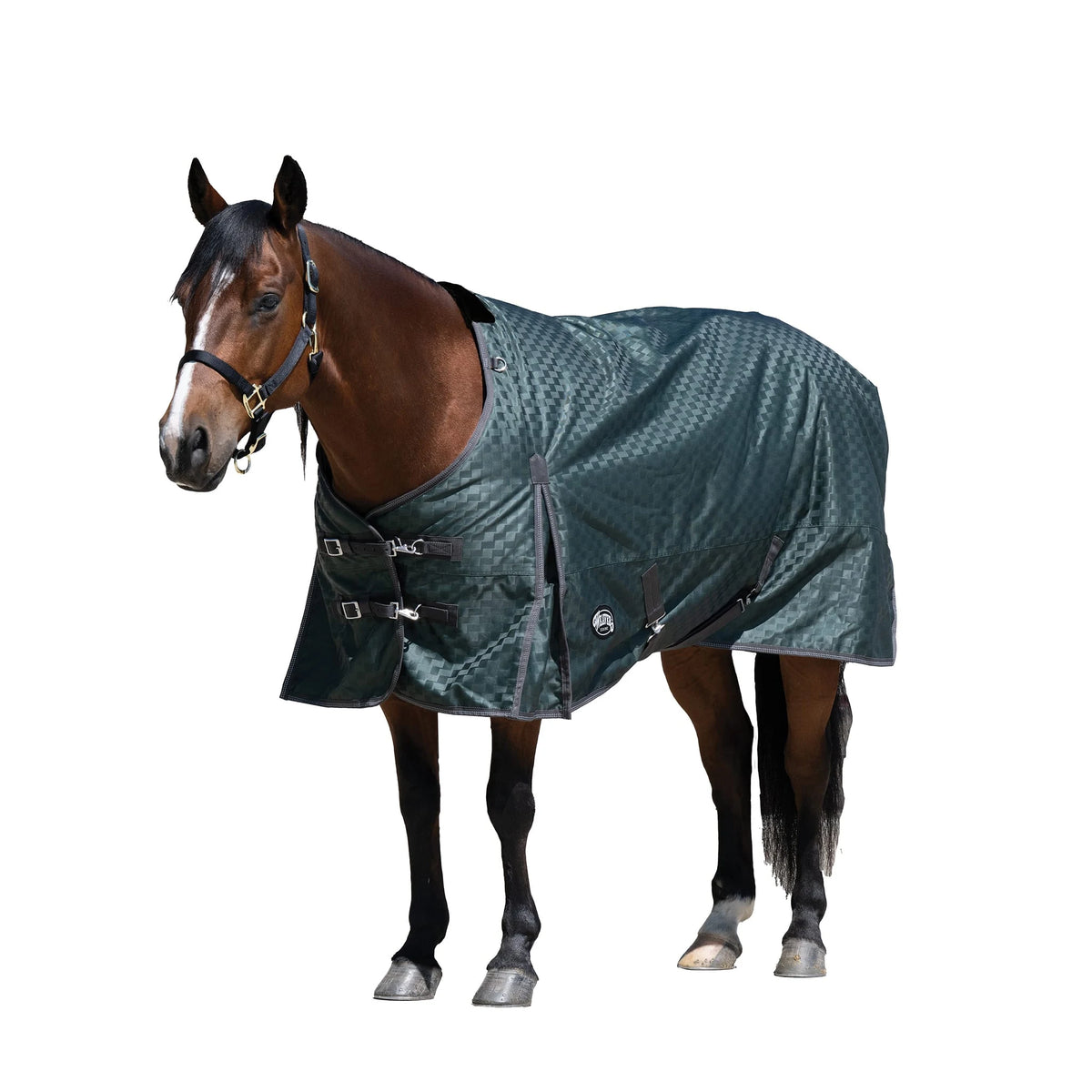 Weaver Leather Premium Turnout Blanket, Heavy Weight 300g, 1200D
