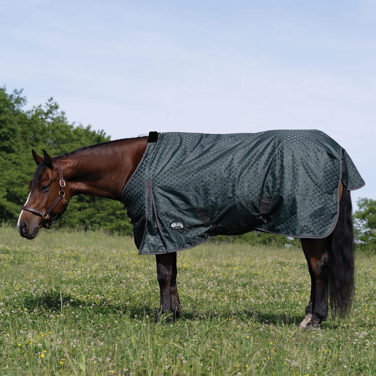 Weaver Leather Premium Turnout Blanket, Heavy Weight 300g, 1200D