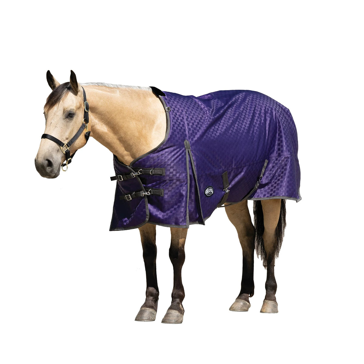 Weaver Leather Premium Turnout Blanket, Heavy Weight 300g, 1200D