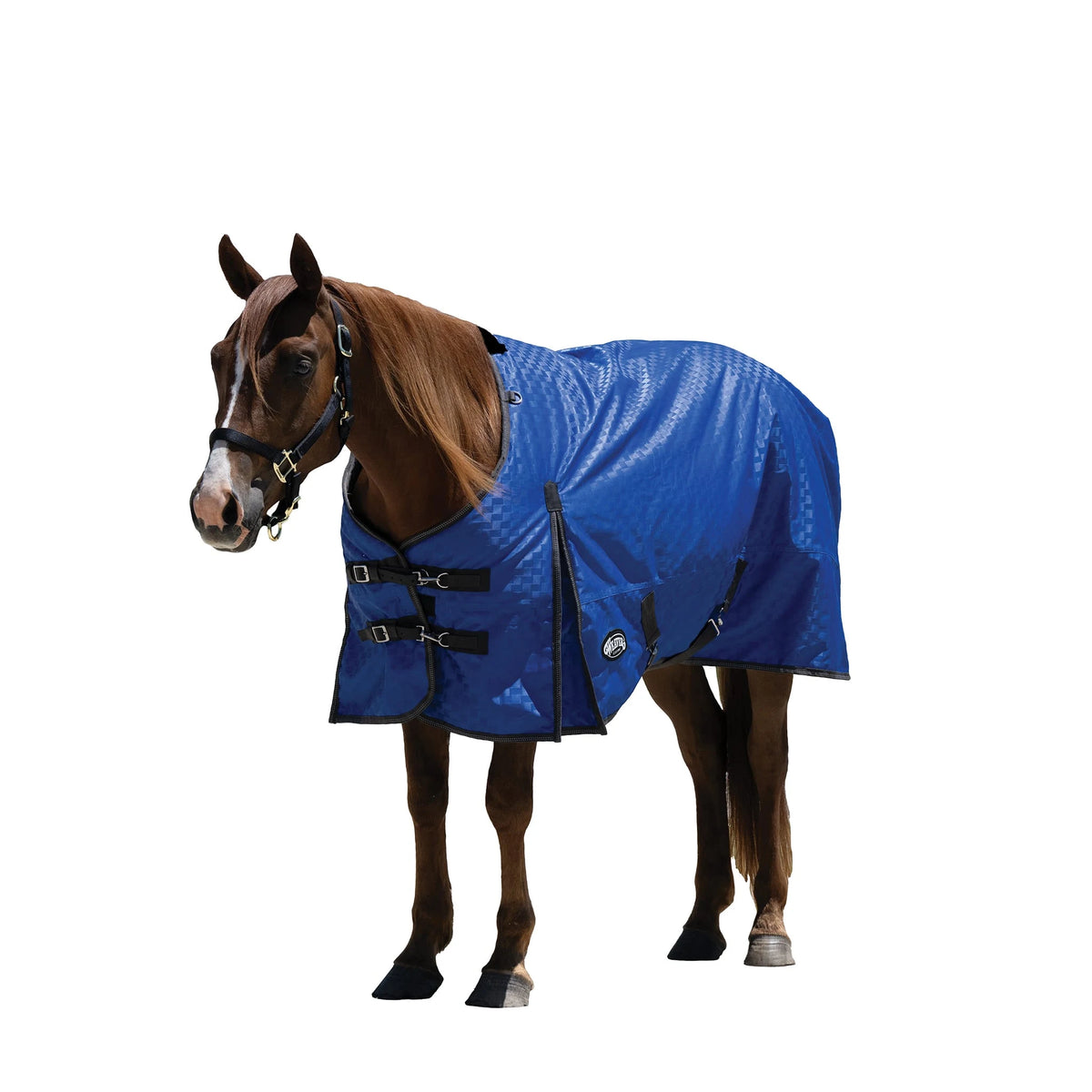 Weaver Leather Premium Turnout Blanket, Heavy Weight 300g, 1200D