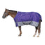 Weaver Leather Premium Turnout Blanket, Medium Weight 200g, 600D