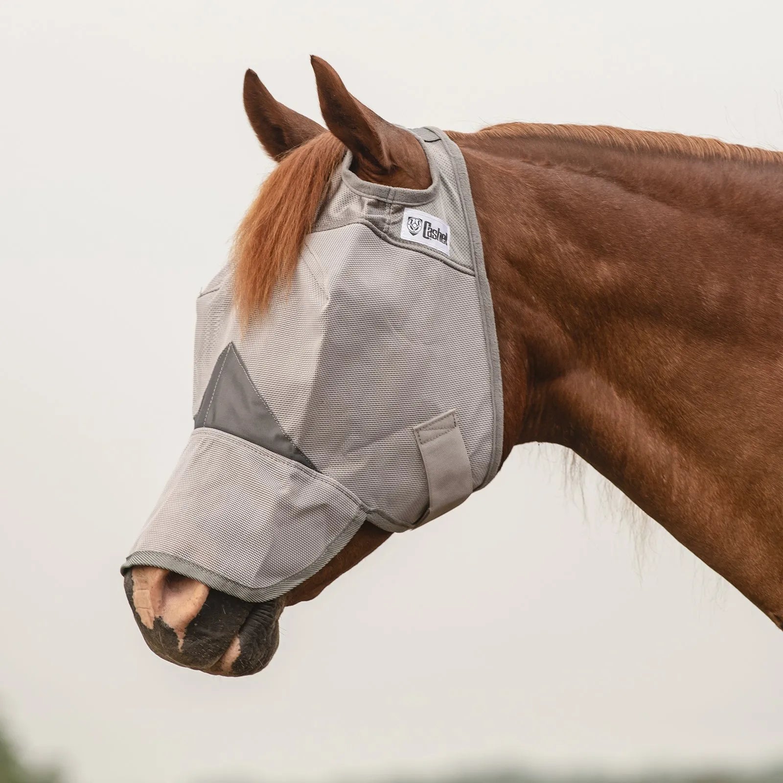 Cashel Crusader Sun Fly Mask with long nose coverage on a chestnut horse. This high-quality grey mesh horse fly mask provides ultimate UV and fly protection, featuring breathable material, a secure hook-and-loop closure, and ear holes. Ideal equestrian gear for protecting sensitive noses and eyes from insects and sun damage in the field.