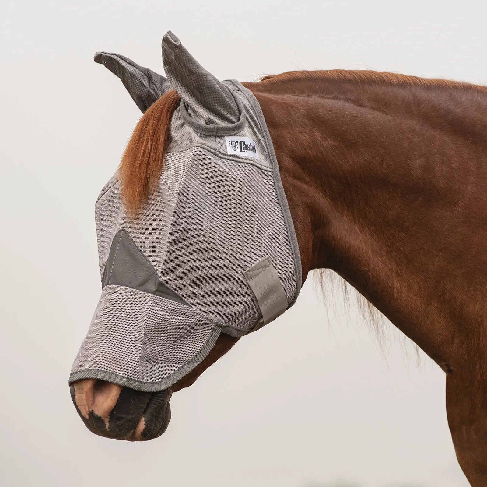 Cashel Crusader Sun Fly Mask in grey on a chestnut horse, featuring a durable mesh design for ultimate UV and fly protection. This equestrian fly mask includes soft ear covers and a long nose piece to prevent sunburn and insect irritation. The breathable mesh ensures clear vision and comfort, providing essential summer fly control for horses with sensitive skin or white noses. Perfect for pasture protection and outdoor horse care.