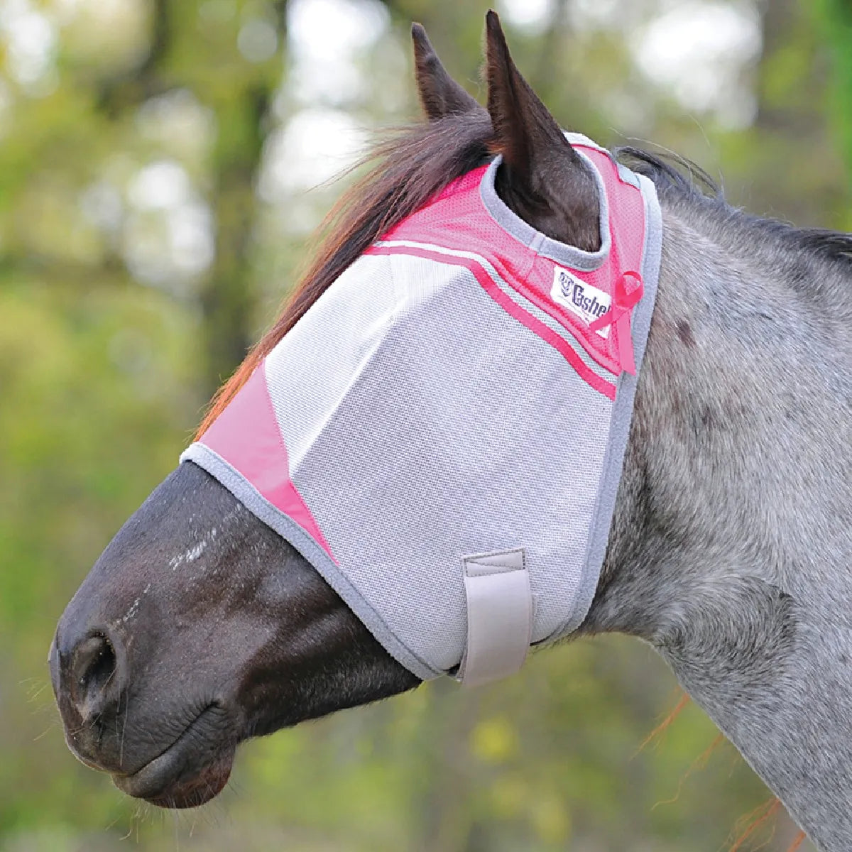 Profile of a horse wearing a grey Cashel Crusader Sun Fly Mask with vibrant pink trim. This durable horse fly mask features breathable mesh for ultimate pest and UV protection, comfortable ear holes, and an adjustable chin strap. Includes the Cashel logo and a pink ribbon emblem, making it a stylish and protective choice for summer horse care and equestrian sun safety.