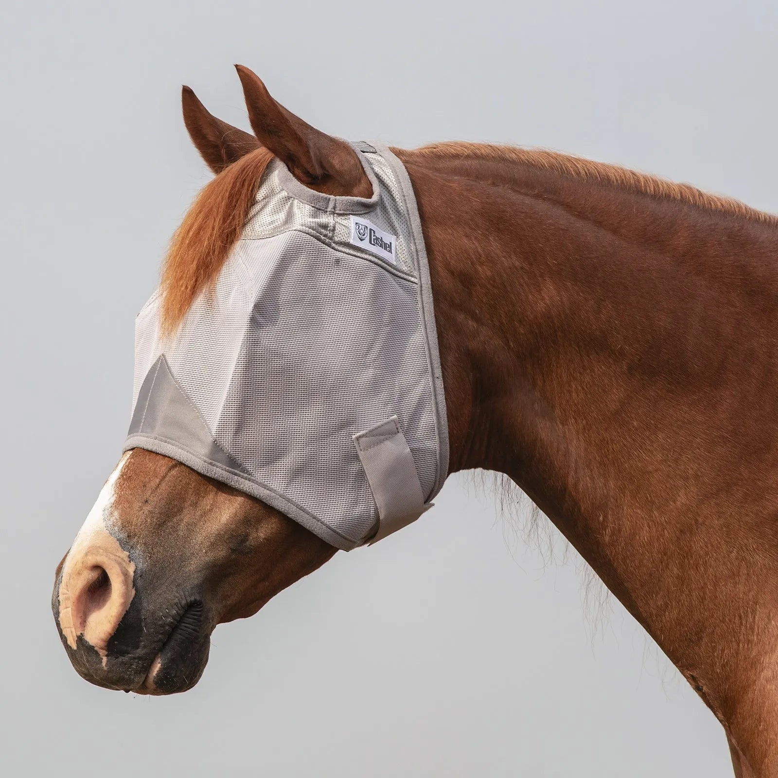 Cool Cashel Crusader Fly Mask in grey on a chestnut horse, providing ultimate UV and fly protection. This high-quality mesh horse mask features an ear-out design for comfort, a reinforced nose bridge, and a secure fit. Essential equestrian gear for horse owners seeking durable sun protection and insect relief during turnout.