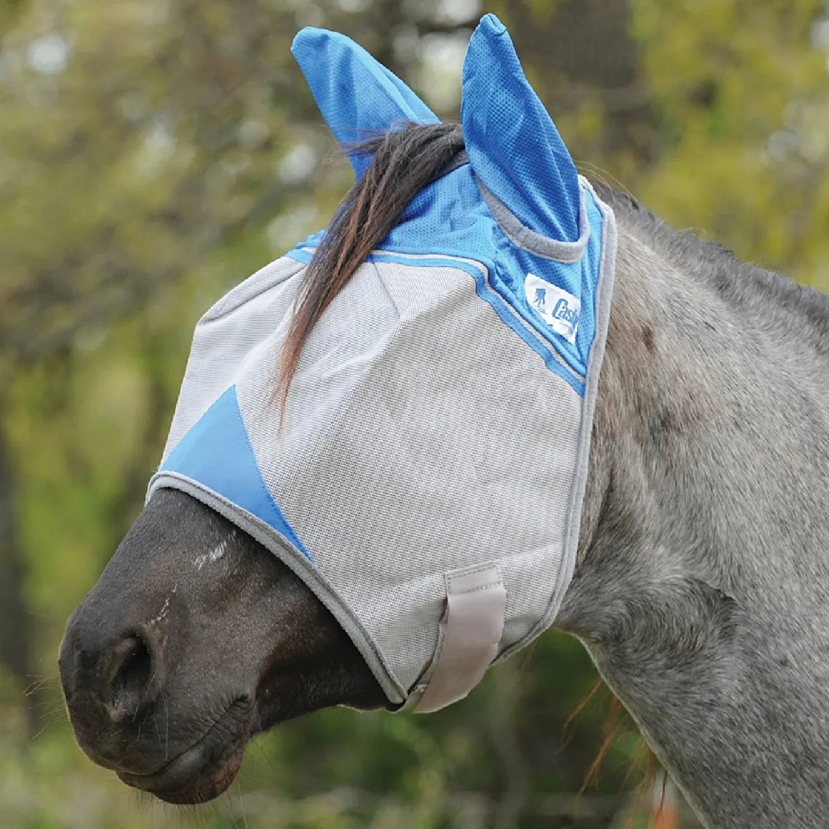 Cashel Crusader Sun Fly Mask in blue and grey, shown on a horse for maximum UV and fly protection. This horse fly mask features durable grey mesh over the eyes, breathable blue mesh ear covers, and a forelock opening for comfort. The secure velcro closure ensures a snug fit during turnout. Perfect for protecting sensitive eyes and ears from insects and sun damage.