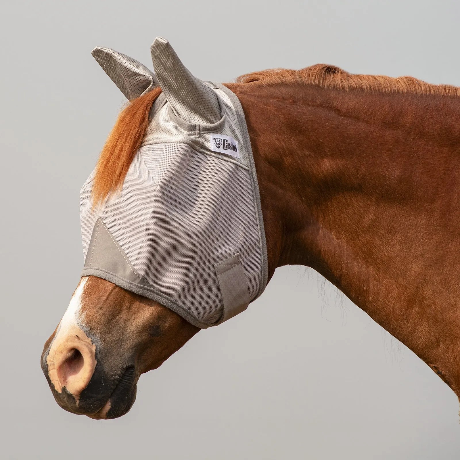 Cashel Crusader Fly Mask in light grey on a chestnut horse, offering ultimate UV and fly protection. This breathable mesh horse mask features protective ear covers and a secure fit to shield against pests and sun damage. Durable equestrian gear designed for summer horse care, keeping flies away from sensitive eyes and ears while providing superior comfort and visibility.