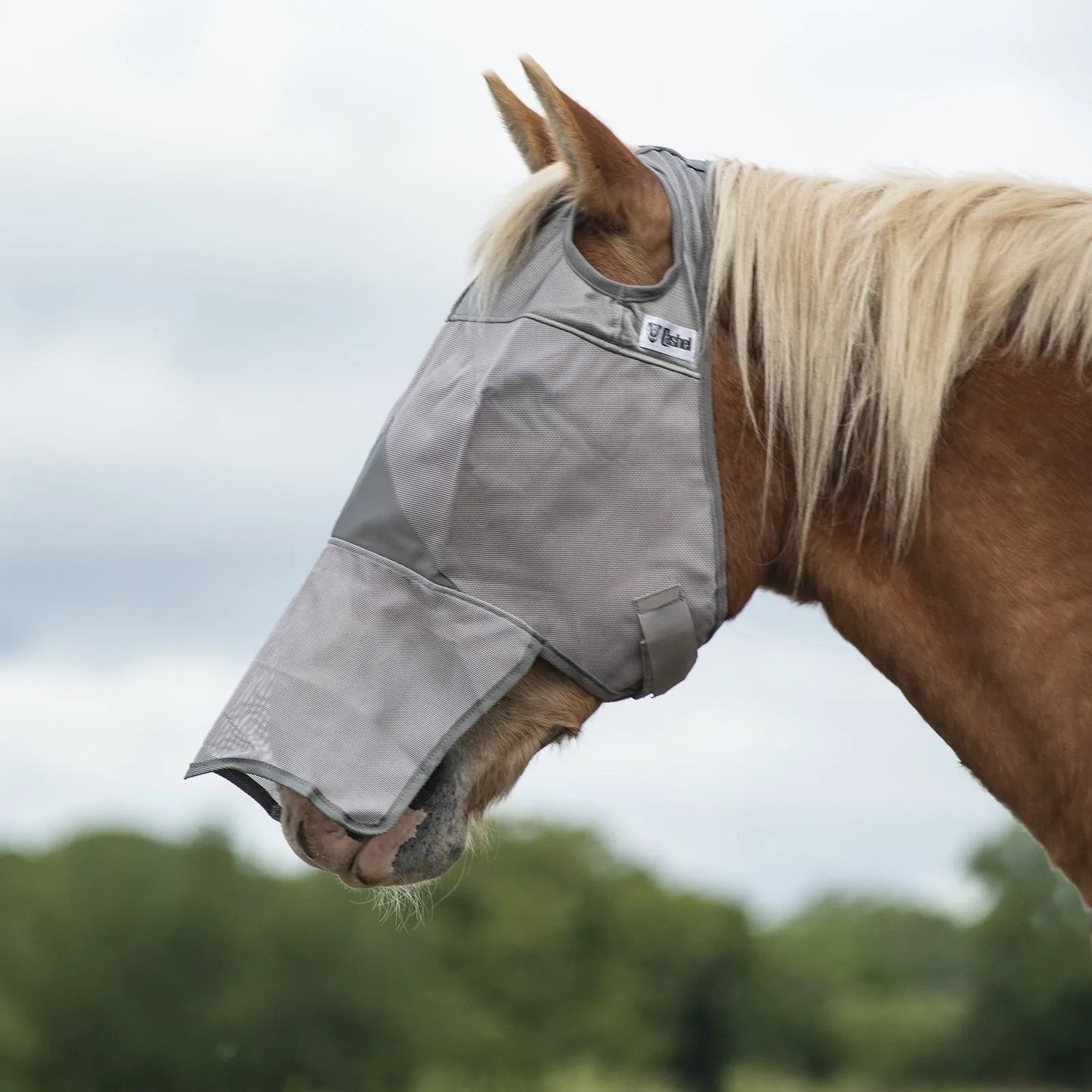 Cool Cashel Crusader Sun Fly Mask in gray mesh, designed for ultimate UV and fly protection. This horse fly mask features a long nose extension for extra sun shielding and ear cutouts for a comfortable fit. Perfect equine gear for protecting horses from biting flies and harmful rays while grazing. A must-have for horse owners looking for durable, high-visibility horse protective wear to ensure equine health and comfort.
