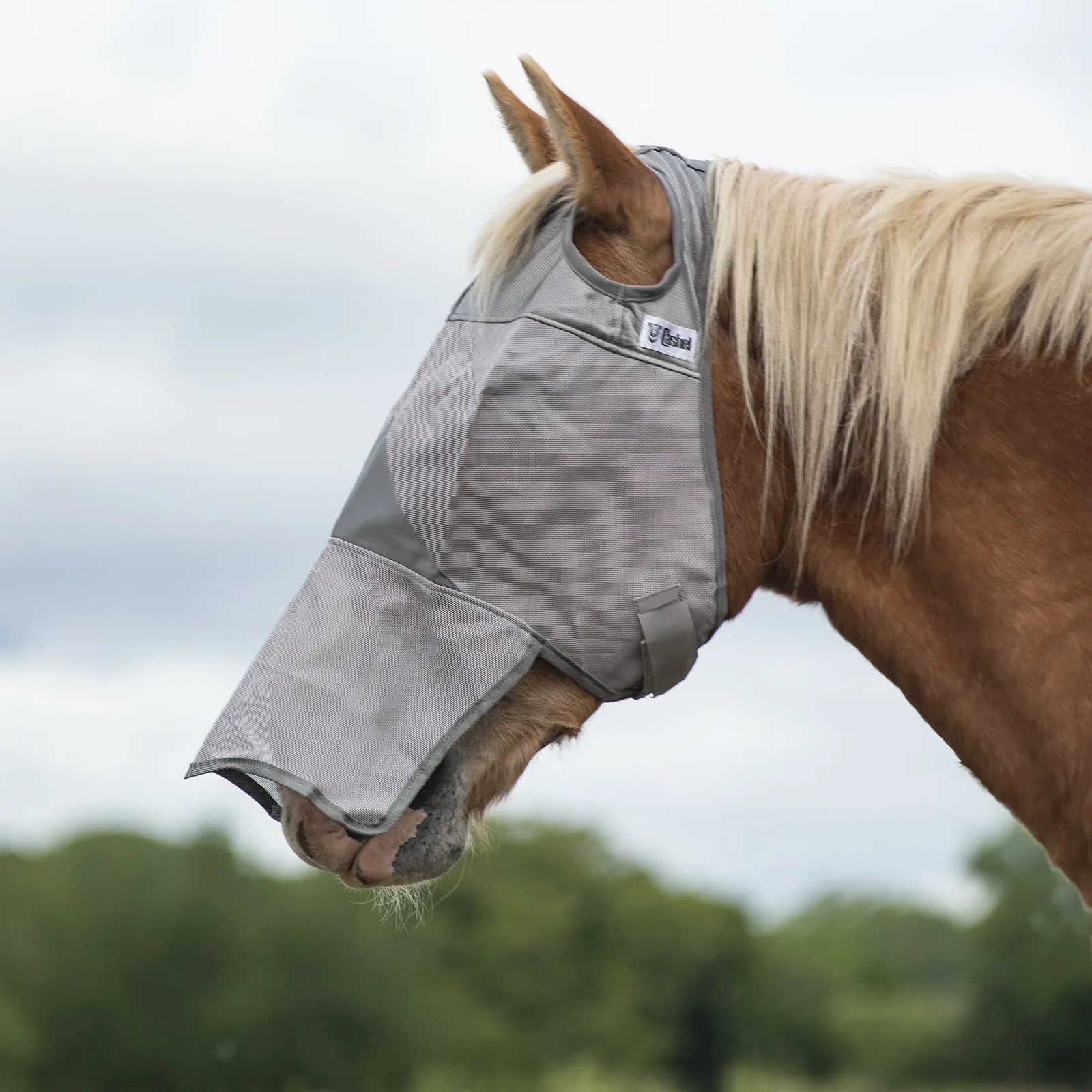 Cool Cashel Crusader Sun Fly Mask in gray mesh, designed for ultimate UV and fly protection. This horse fly mask features a long nose extension for extra sun shielding and ear cutouts for a comfortable fit. Perfect equine gear for protecting horses from biting flies and harmful rays while grazing. A must-have for horse owners looking for durable, high-visibility horse protective wear to ensure equine health and comfort.